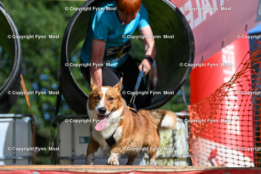 DSC_1720 | Hallo und herzlich Willkommen auf meiner Shop-Seite Fynn Most.

Ich wünsche Dir viel Spaß beim stöbern durch die Bilder, wenn Du Fragen hast oder Bilder vermisst, kannst du mir gerne eine Nachricht schreiben. - Realisiert mit Pictrs.com