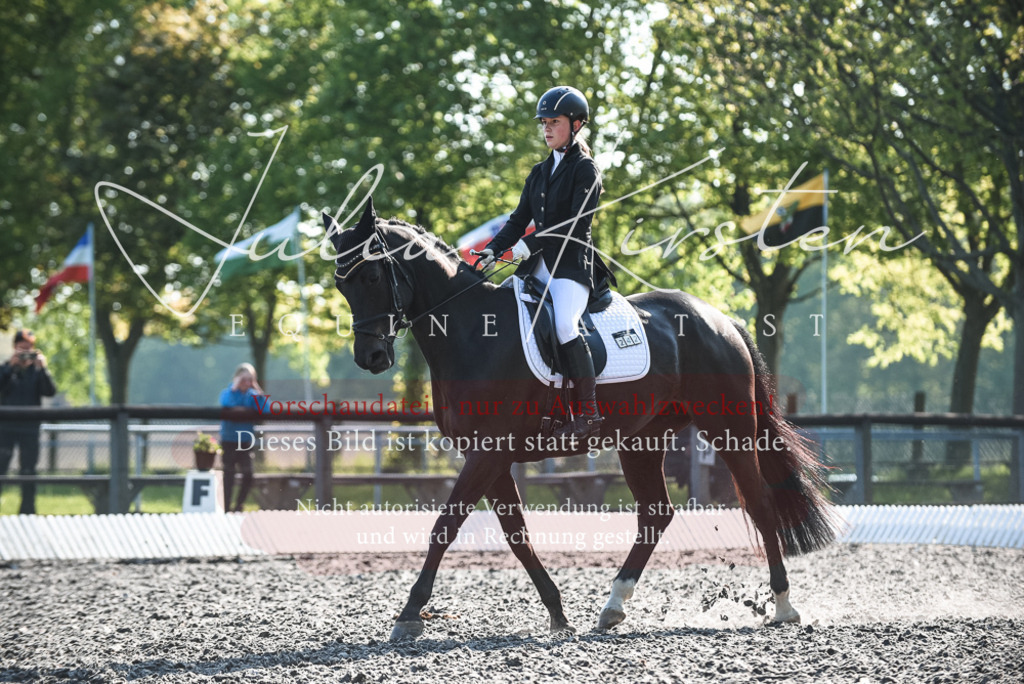 DSC_8358 | Pferde- und Turnierfotografie in Westsachsen. Pferdeportraits, Auftragszeichnungen und intuitive Kunst.