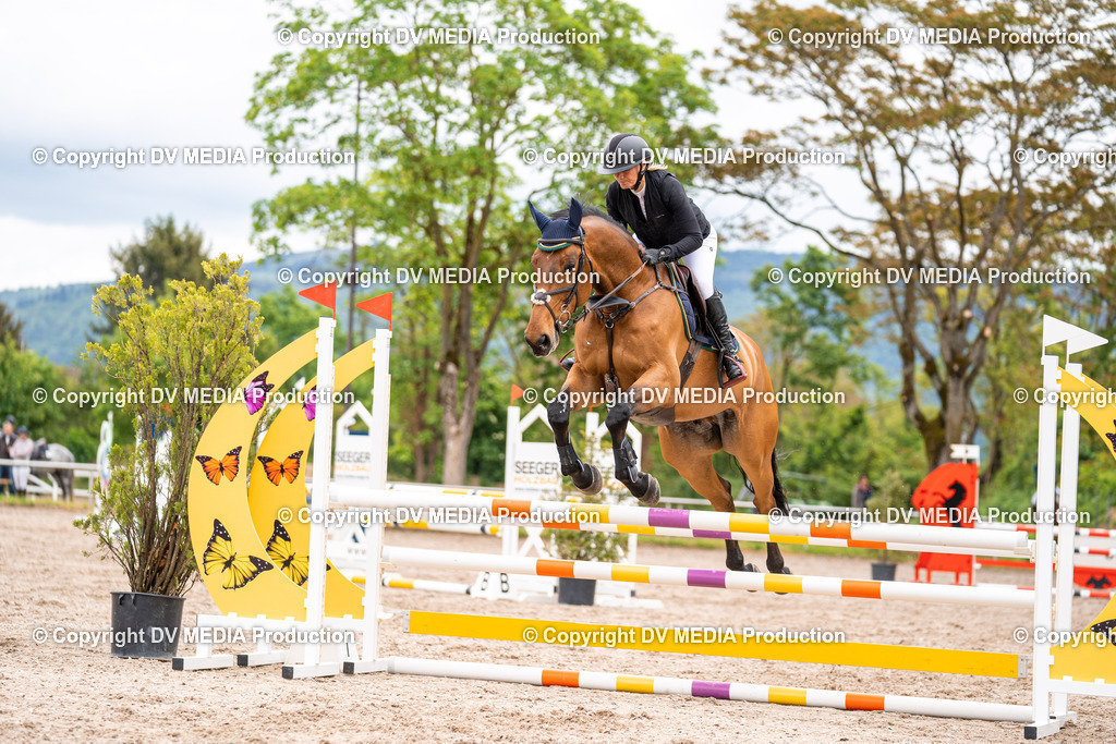 Eppelheim Tag 1-66 | dv-media-shop - Realisiert mit Pictrs.com