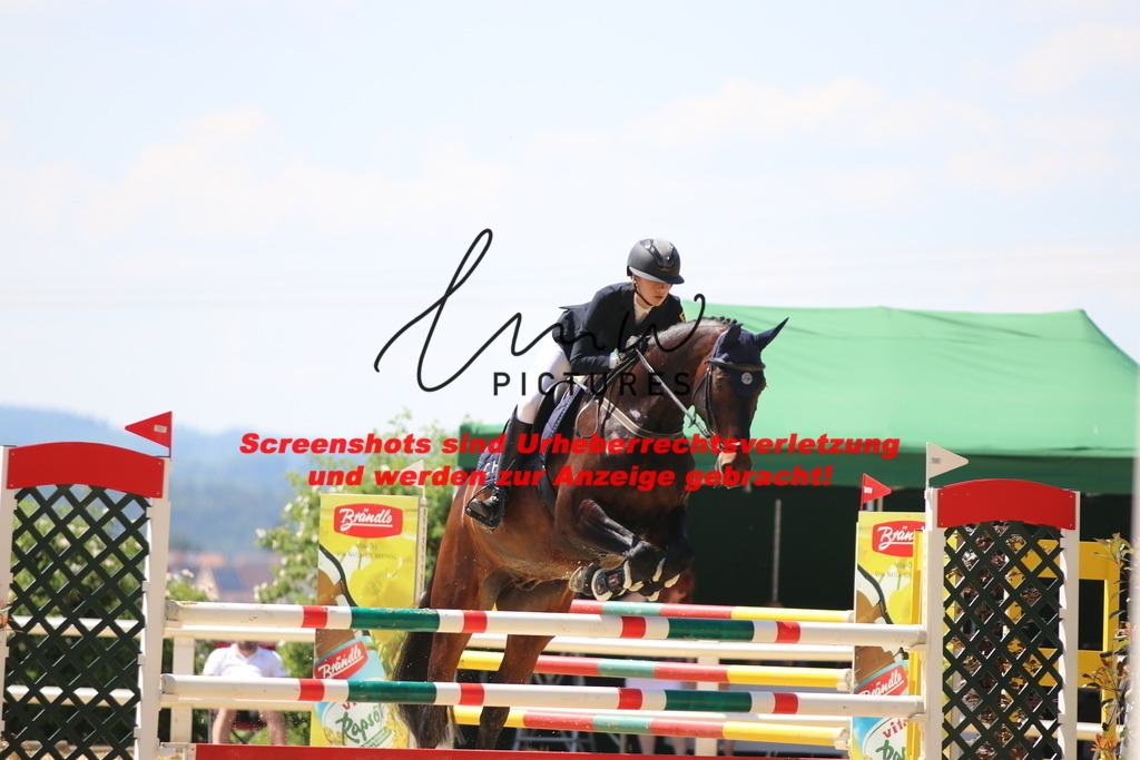 IMG_2613 | lmwpictures - Realisiert mit Pictrs.com