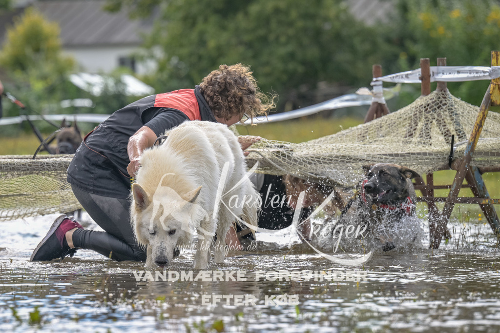 1326_ZZ91177 | kk-dogfotos