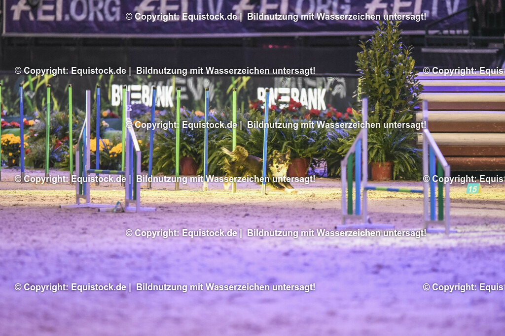 20231115_Dog-Agility_0169_TOMsPiC | Foto: Thomas Hartig