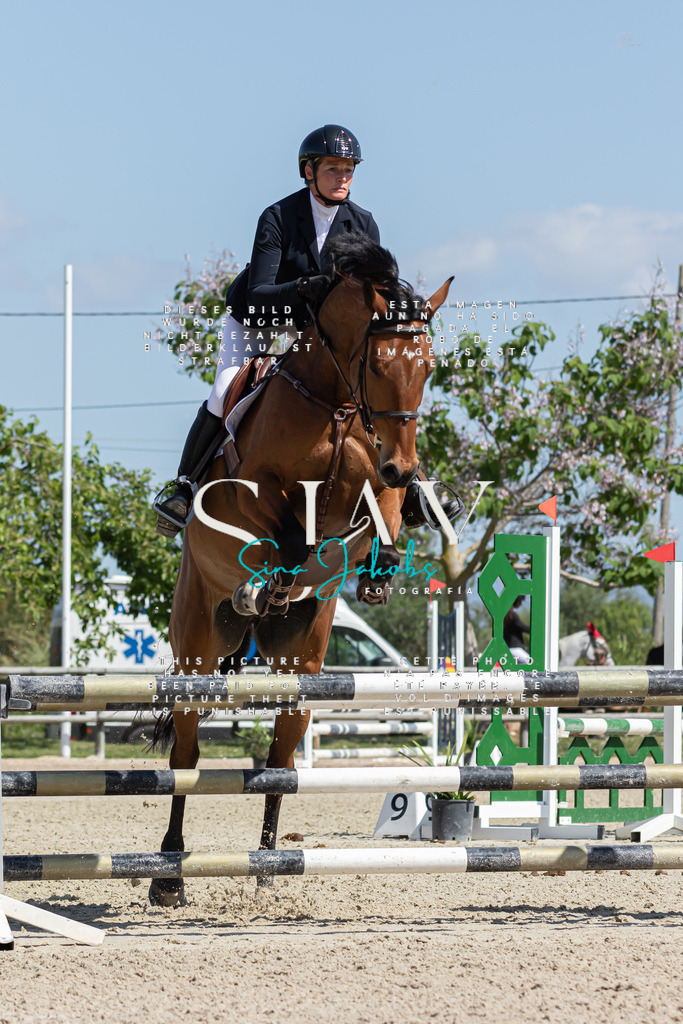 IMG_0748 | s-jay-photography - Realized with Pictrs.com