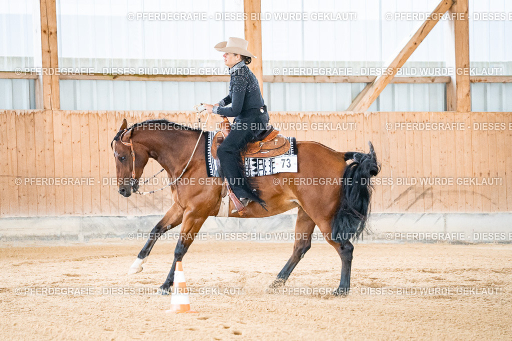 DSC01667 | Pferdegrafie