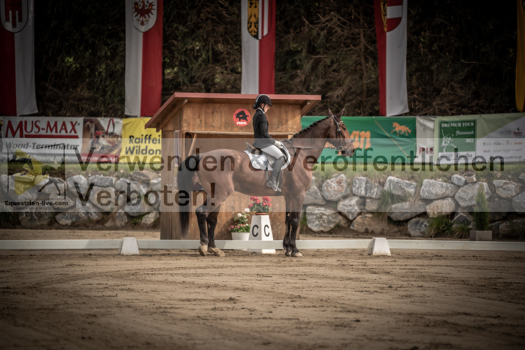 DSC_8292 | equestrian-live-com