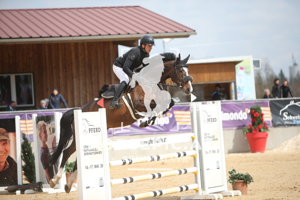 AS8V6719 | Willkommen bei Brunnmayr - Design & Fotografie – Ihrem Spezialisten für Reitturniere und Pferdeveranstaltungen in Oberösterreich, Salzburg und Bayern! Seit über 17 Jahren sind wir leidenschaftlich dabei.