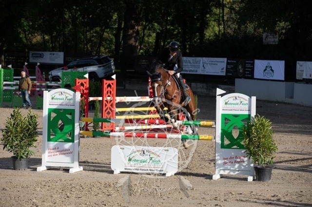 2B4A1013 | pixelfaenger - Realisiert mit Pictrs.com