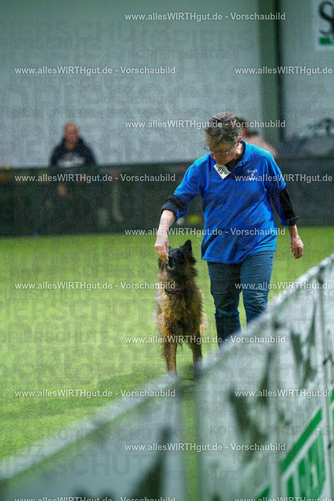 7R507848 | Professionelle Tierfotografie in Mönchengladbach von Daniel Wirth (allesWIRTHgut). Liebevolle & natürliche Bilder von Hunden & Katzen für unvergessliche Erinnerungen.