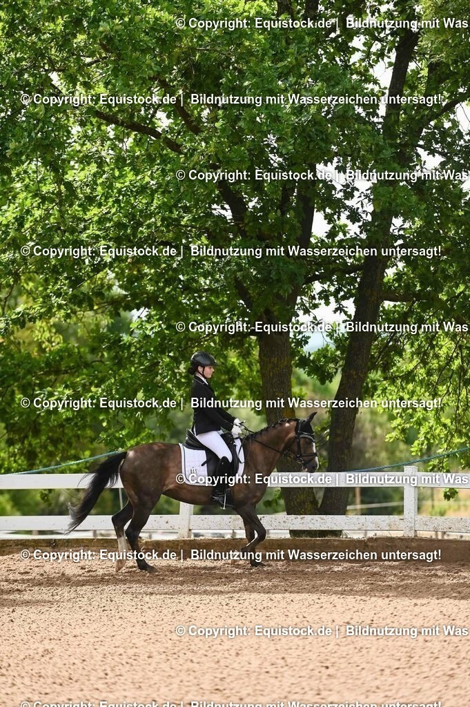 20230716_10-1_Reiter-WB Schritt - Trab - Galopp_0188 | equistock