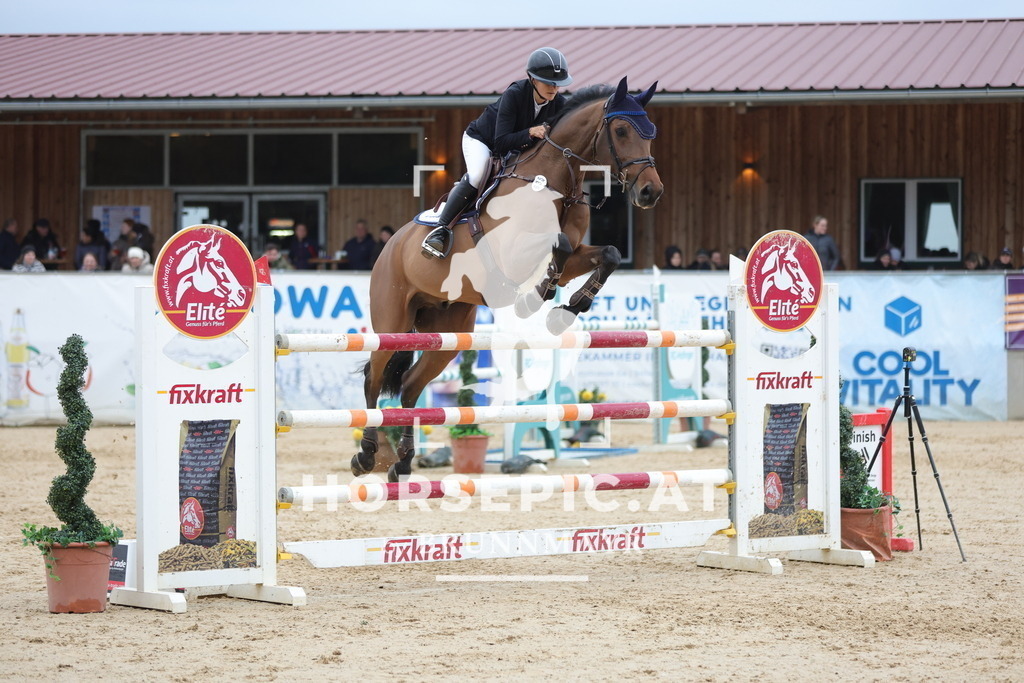 0P6A4490 | Willkommen bei Brunnmayr - Design & Fotografie – Ihrem Spezialisten für Reitturniere und Pferdeveranstaltungen in Oberösterreich, Salzburg und Bayern! Seit über 17 Jahren sind wir leidenschaftlich dabei.