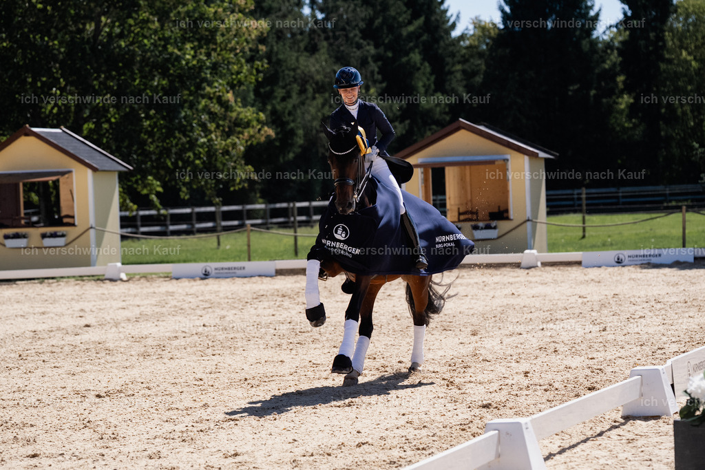 FHC2026_P12_Siegerehrung_13391 | working equitationturnier fotograf videograf stoibphotography marixx film working equitation deutschland reitsport turnierfotografie eventfotografie equestrian events
