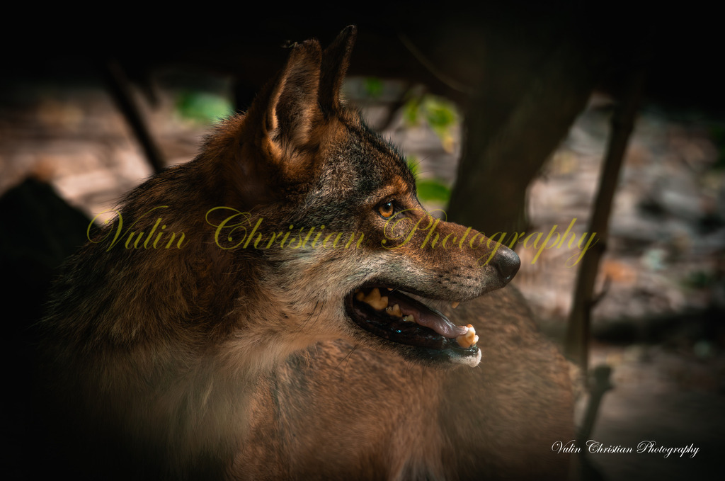 PH 23 | Christian Vulin  - Realisiert mit Pictrs.com