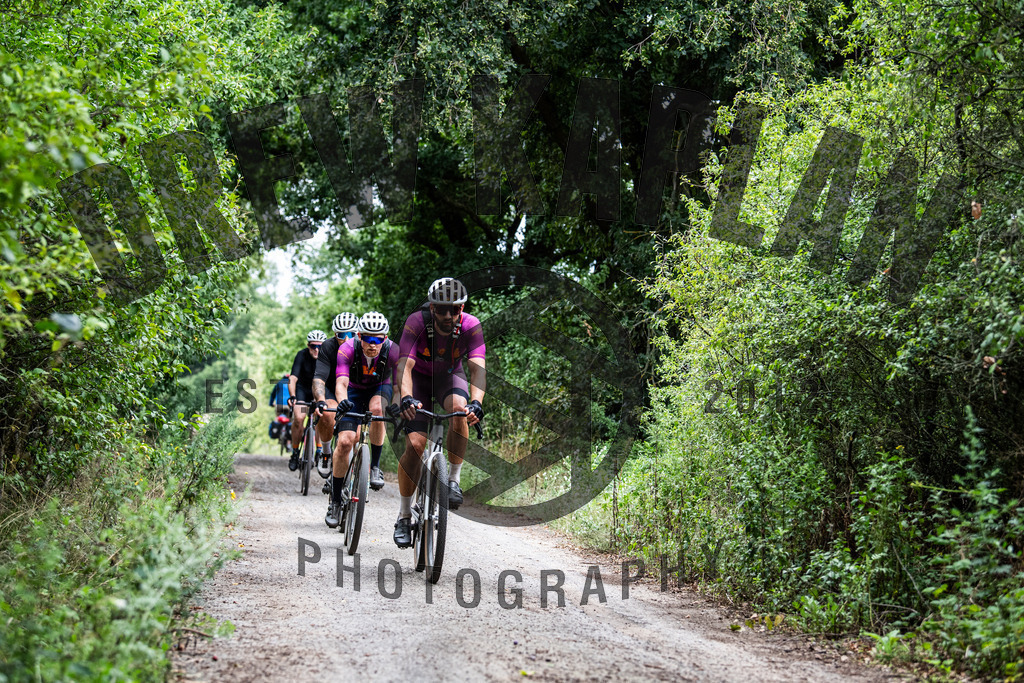 DKP-6746-2 | Drew Kaplan Photography