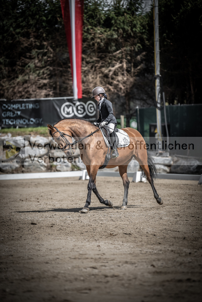 DSC_0812 | equestrian-live-com