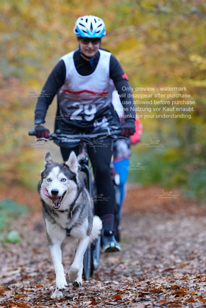 AusschnitteSo-78 | stephaniefillaphotographie - Realisiert mit Pictrs.com