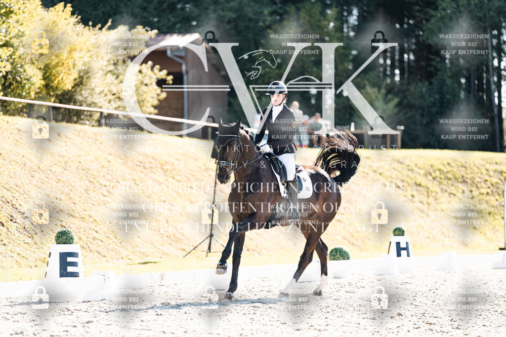 CK905866 | Turnierfotografie Pferdefotografie Trier Rheinland-Pfalz Pferdesport Reitsport Tierfotografie Sportfotografie Pferdevideo Pferdevideografie Equestrianvideography equestrianphotography  - Realisiert mit Pictrs.com