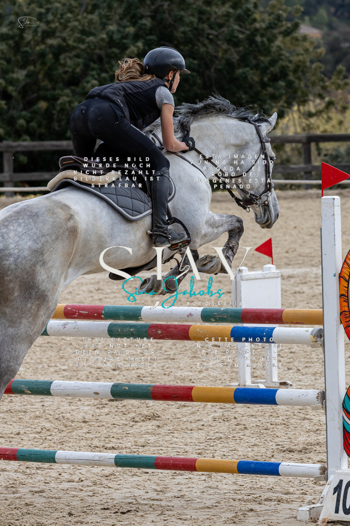 IMG_3994 | s-jay-photography - Realisiert mit Pictrs.com