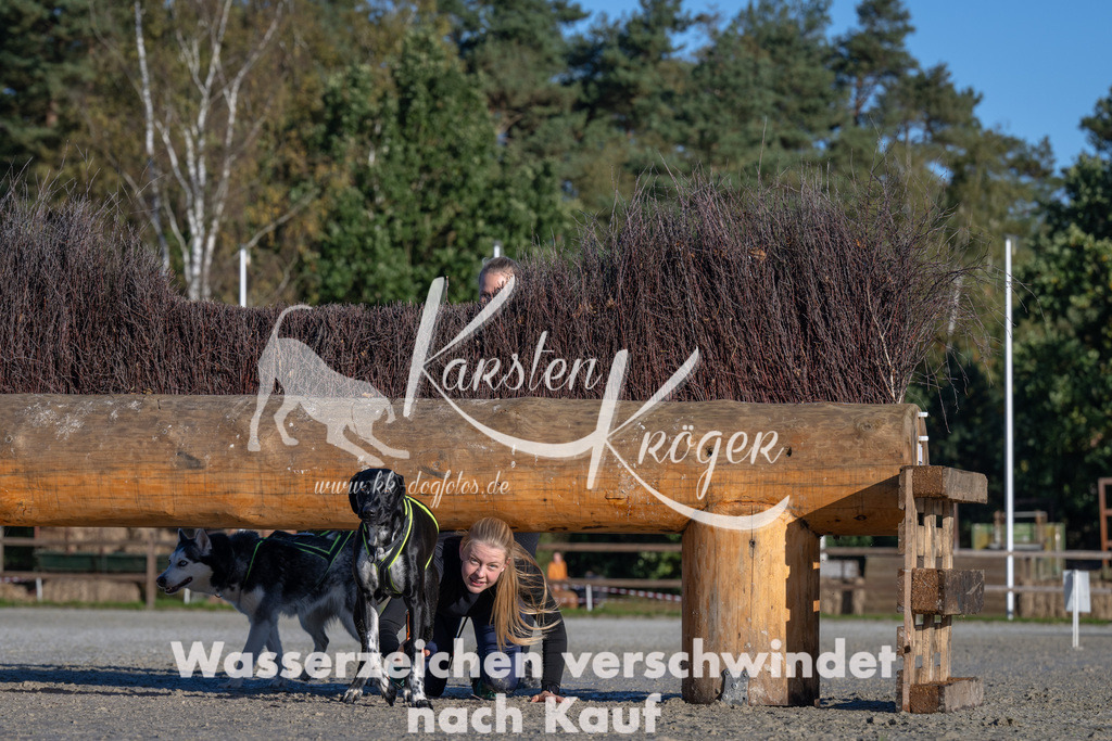 1022-_ZZ90999 | kk-dogfotos
