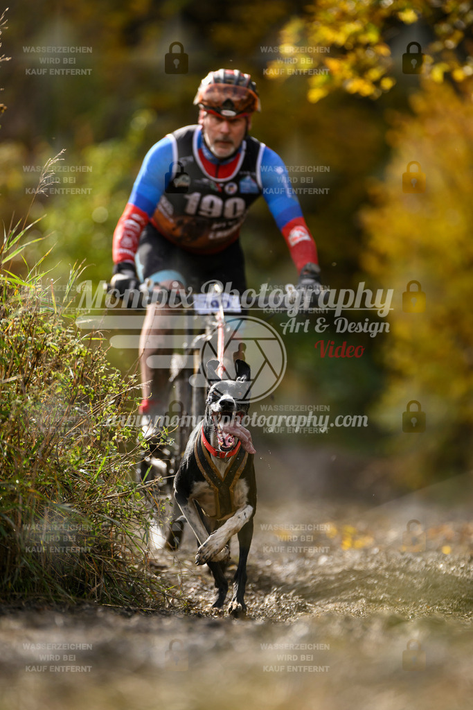 MompixPhotography_ICF_WC_2024_SA_Bike_-299 | PayLife
