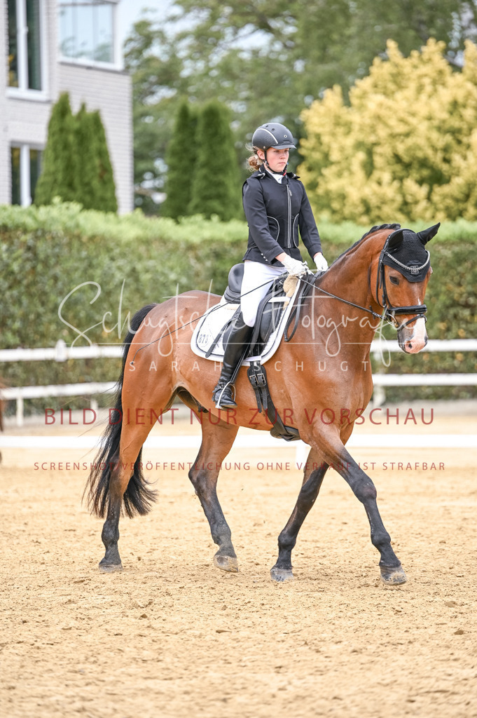 Schugtsche-Aluta25-44.DresssurreiterWB-179 | Schugtsche Fotografie - Realisiert mit Pictrs.com