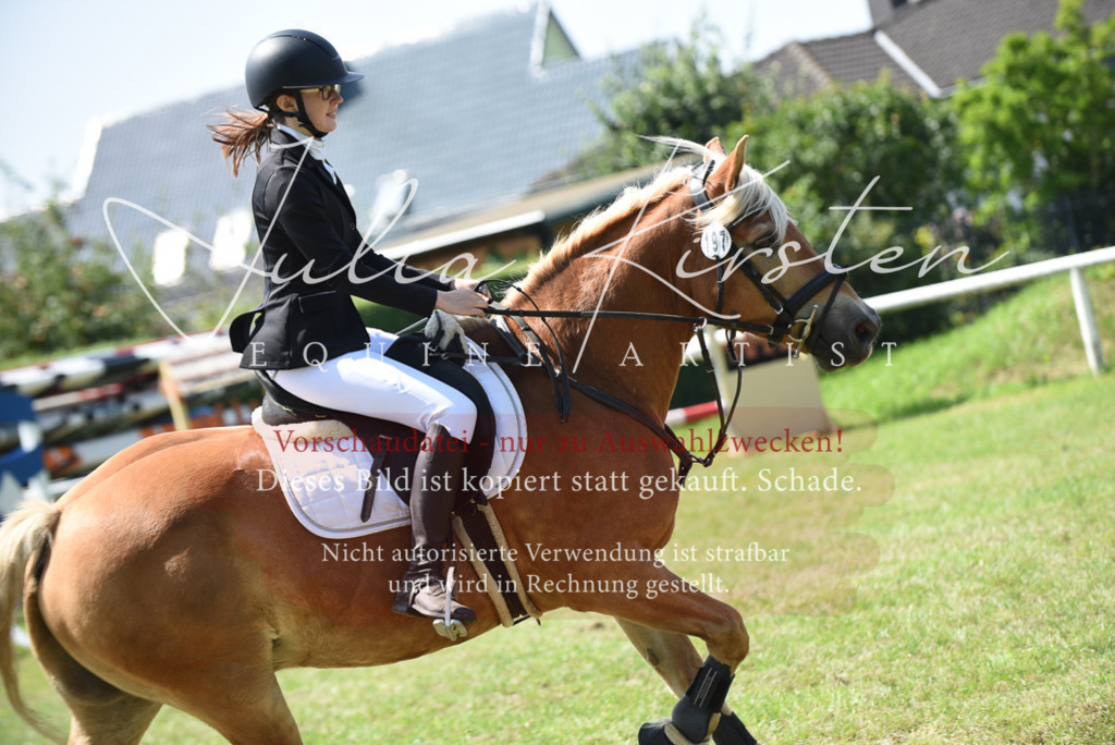 DSC_9937 | Pferde- und Turnierfotografie in Westsachsen. Pferdeportraits, Auftragszeichnungen und intuitive Kunst.