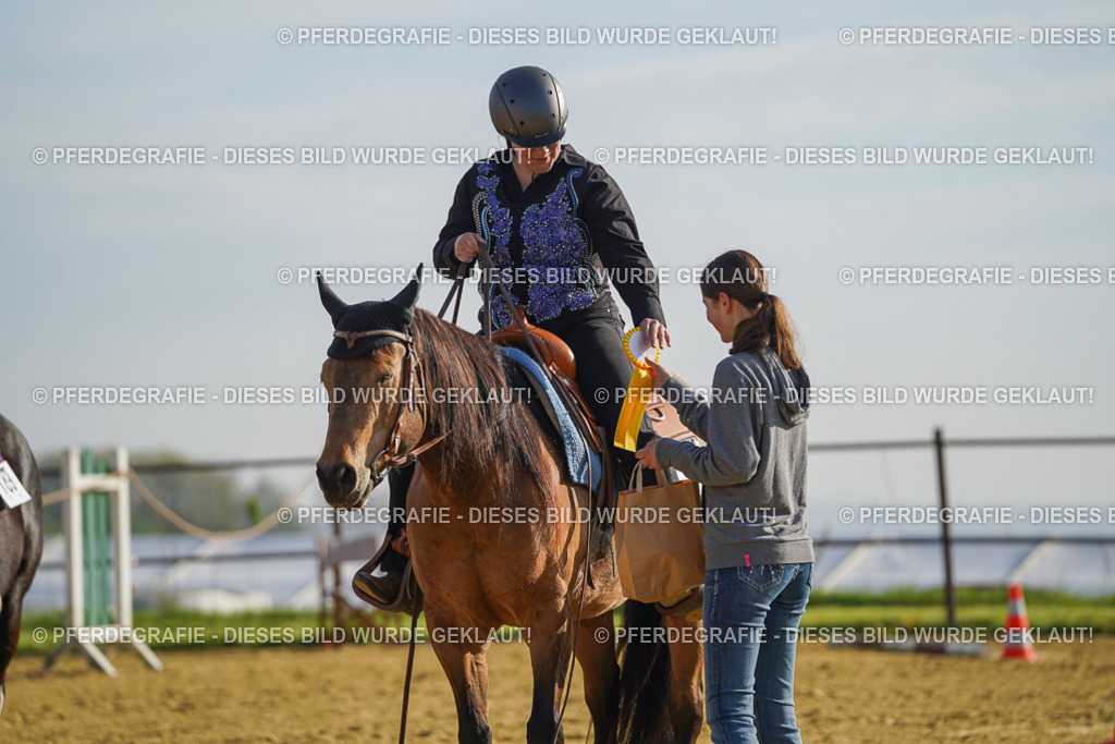 DSC00689 | Pferdegrafie