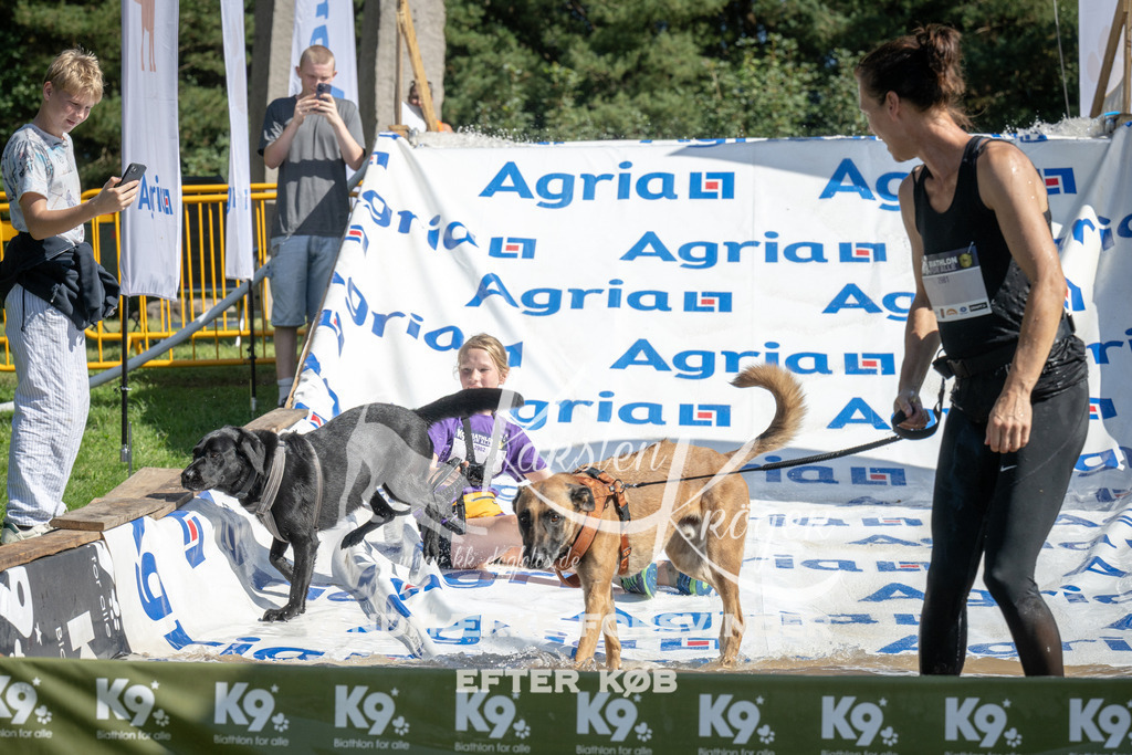 1137_ZZ93136 | kk-dogfotos