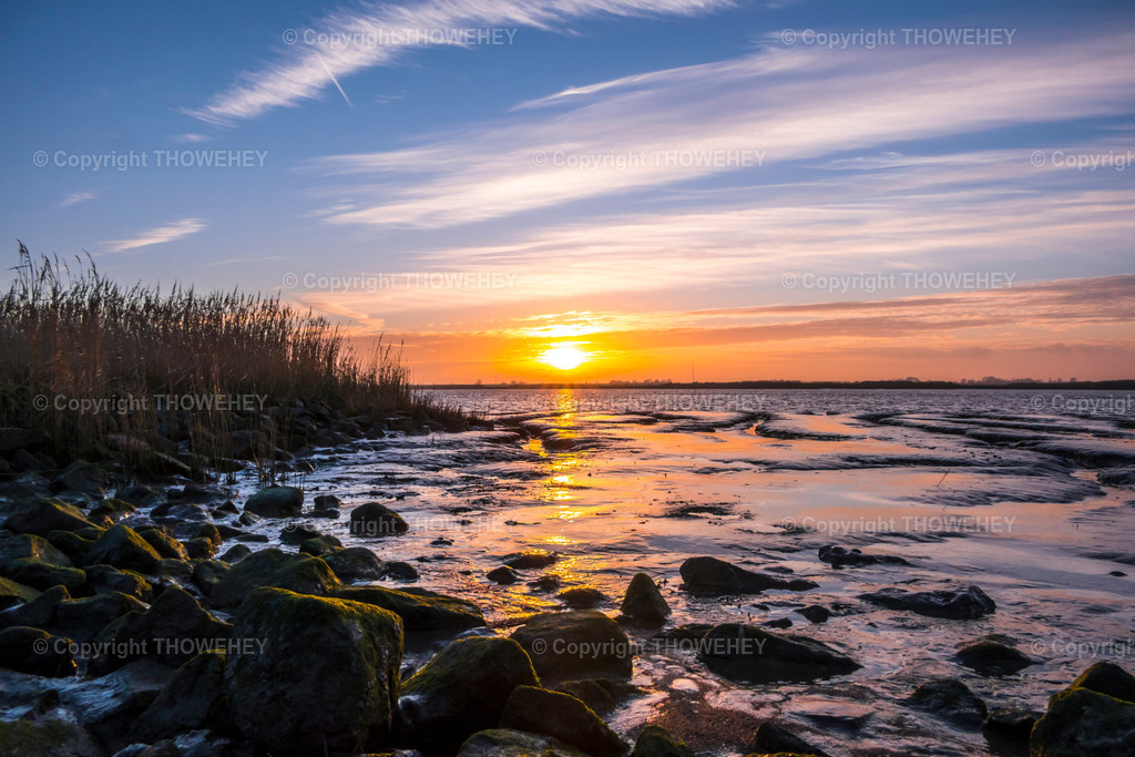 _2660100 | thowehey - Realisiert mit Pictrs.com