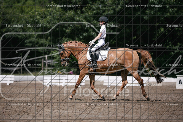 _W6A2263 | ronjaprokoschfotografie - Realisiert mit Pictrs.com