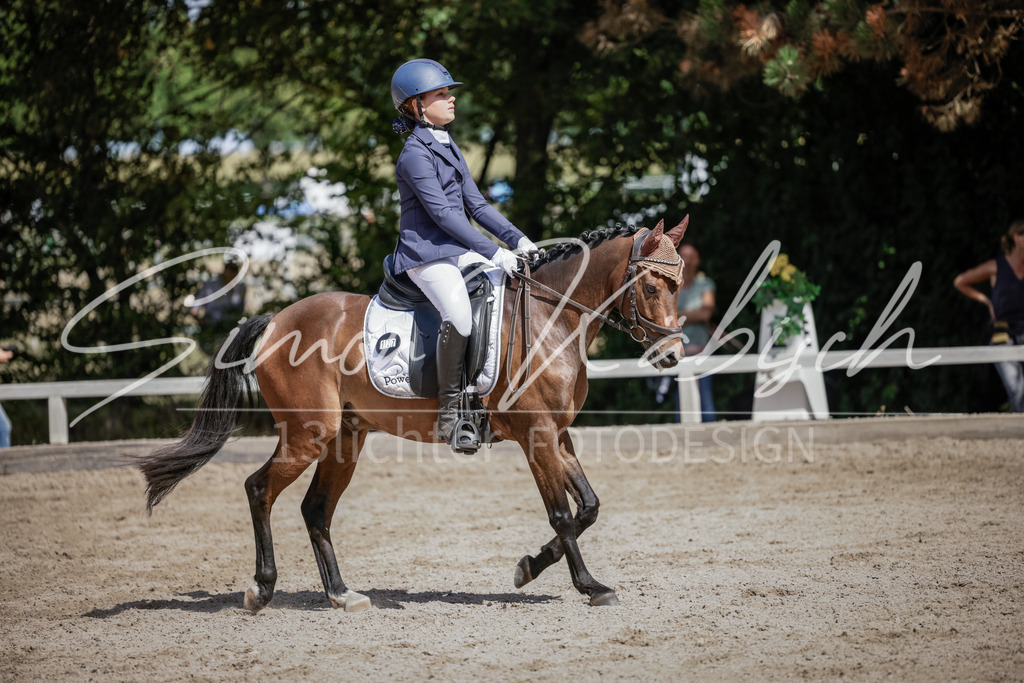 20250906-_3LI5569 | Tierfotografie Pferde, Hunde, Katzen, Haustiere.
Turnierfotografie Reitturniere, Reiten, Springreiten, Dressur in Hanau, dem Main-Kinzig-Kreis und dem Rhein-Main- Gebiet um Frankfurt