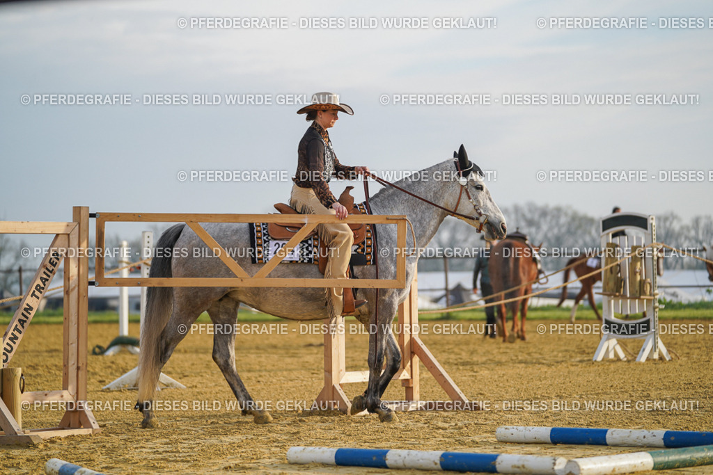 DSC09673 | Pferdegrafie