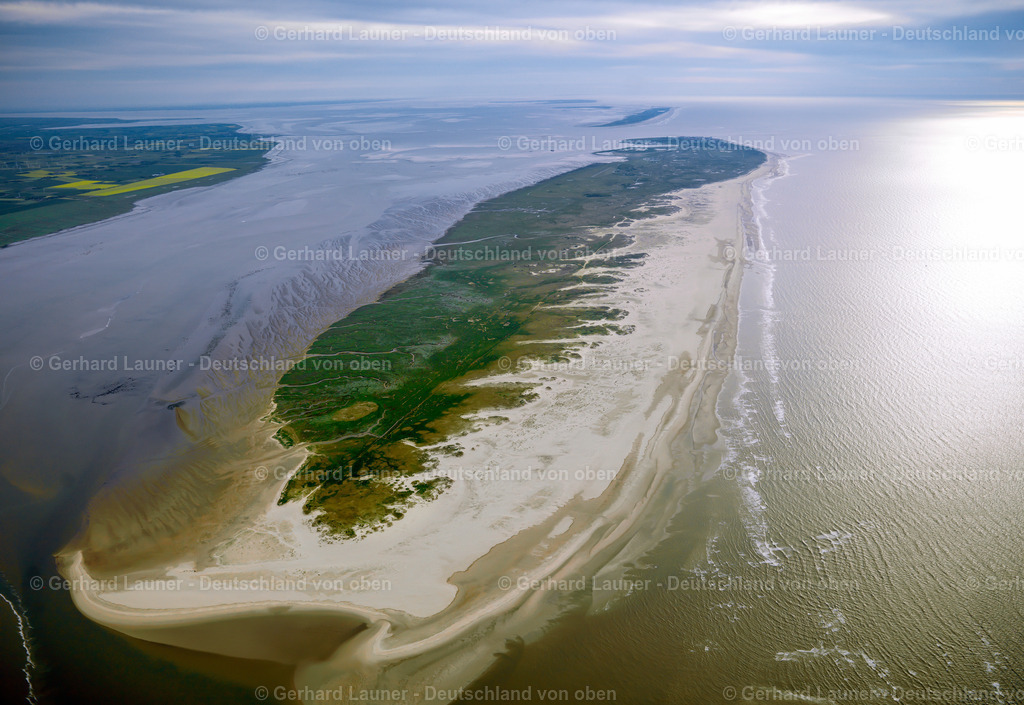 3091122 | Norderney Nationalpark Niedersächsisches Wattenmeer