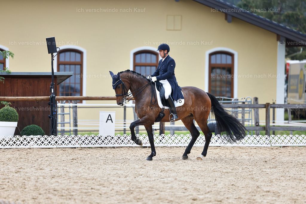 12-226-DRESSUR  S___  -StoibPH-5276 | working equitationturnier fotograf videograf stoibphotography marixx film working equitation deutschland reitsport turnierfotografie eventfotografie equestrian events