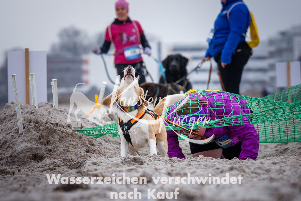 1215_ZZ93016 | kk-dogfotos