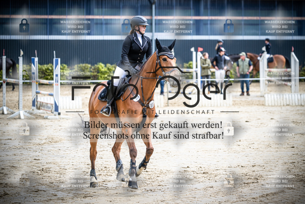 DOS_0613 | Reitturnier Lüdinghausen - Realisiert mit Pictrs.com