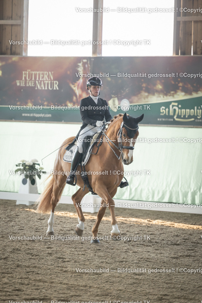 _D5A7908 | Emotionale Pferde- & People-Fotografie rund um Heidelberg, Leimen & Umgebung. Natürliche Fotos von Pferd, Mensch & Familie. Jetzt Termin sichern!
