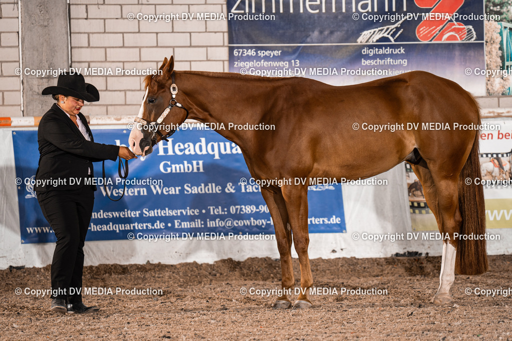 ZH200031 | dv-media-shop - Realisiert mit Pictrs.com