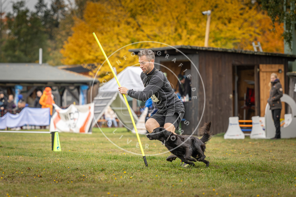 Pfotenfotografie_DV3A5067 | Hundefotografie, Tierfotograf, Pfotenfotografie, Fotoshooting Hund, Hunde Portrait, Hundesport, Hundeportraits, Heideshooting, Hunde, Sportfotograf, Hundefotograf, Turnierhundsport, THS,  - Realisiert mit Pictrs.com
