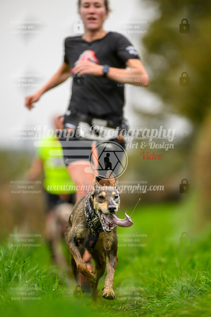 MompixPhotography_20TSB_E8_Run-131 | PayLife