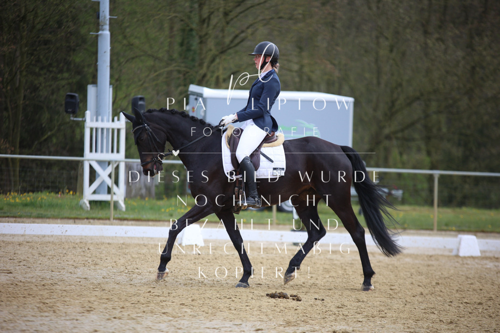 IMGT6252 | pl-fotografie