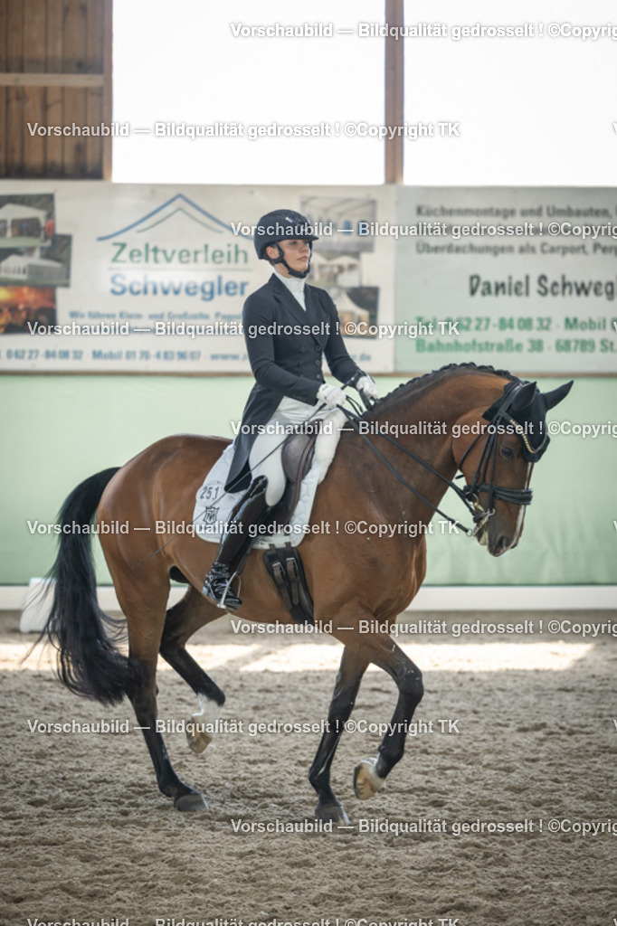 _D5A9528 | Emotionale Pferde- & People-Fotografie rund um Heidelberg, Leimen & Umgebung. Natürliche Fotos von Pferd, Mensch & Familie. Jetzt Termin sichern!