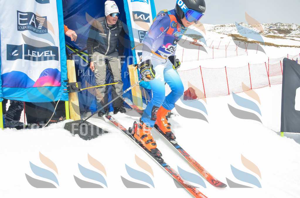 _ELE8121 | holidayphoto