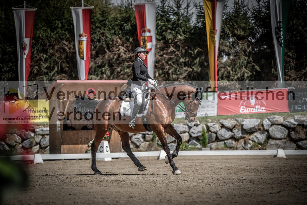 DSC_0483 | equestrian-live-com