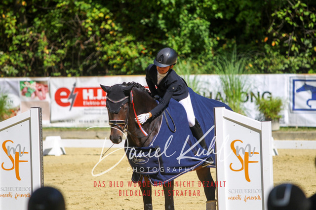 DKP42290 | Turniersportfotografie; Pferdefotografie; Dressurfotografie