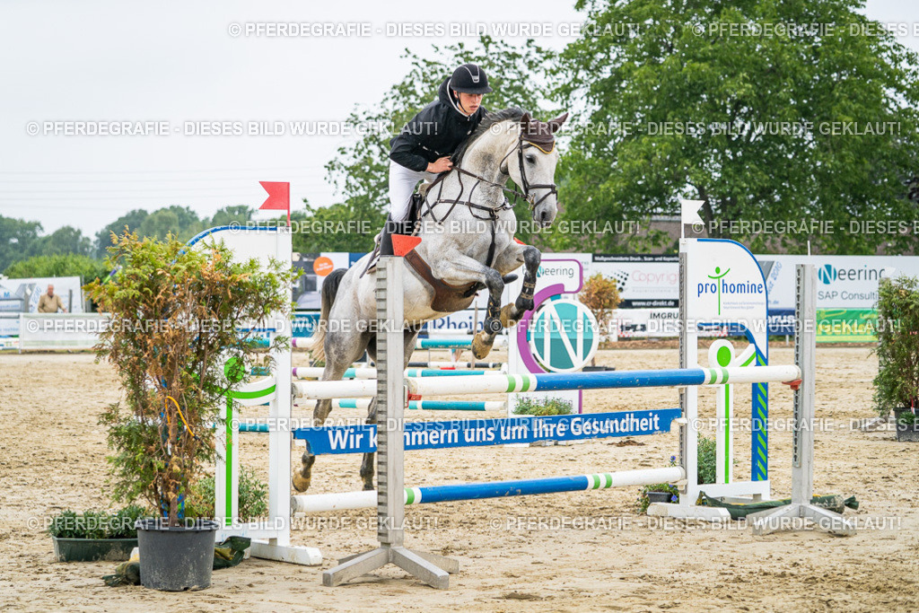 DSC00523 | Pferdegrafie