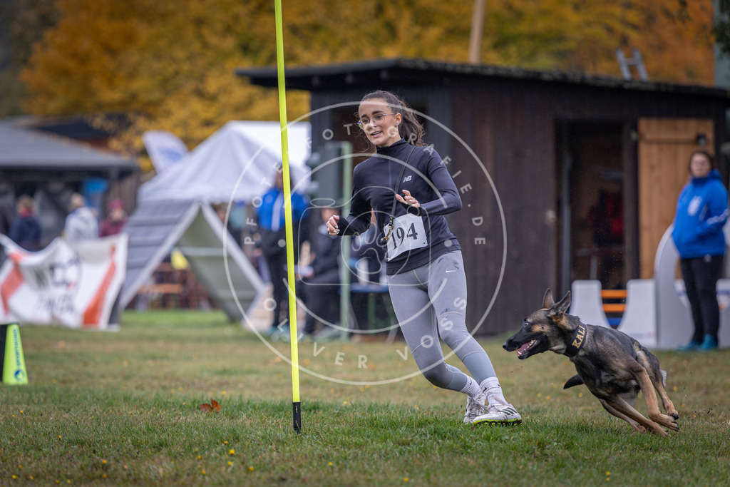 Pfotenfotografie_DV3A0683 | Hundefotografie, Tierfotograf, Pfotenfotografie, Fotoshooting Hund, Hunde Portrait, Hundesport, Hundeportraits, Heideshooting, Hunde, Sportfotograf, Hundefotograf, Turnierhundsport, THS,  - Realisiert mit Pictrs.com