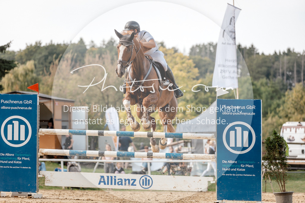 3I6A5161 | Stimmungsvolle Portraits und Reitsportfotografie im Ruhrgebiet und im Münsterland.

Pferdefotografie, Hundefotografie, Tierfotografie, Reportagen, Portraits von Tier und Mensch, Turnierfotografie in Bochum, Recklinghausen, Marl, Haltern am See, Dülmen.. - Realisiert mit Pictrs.com