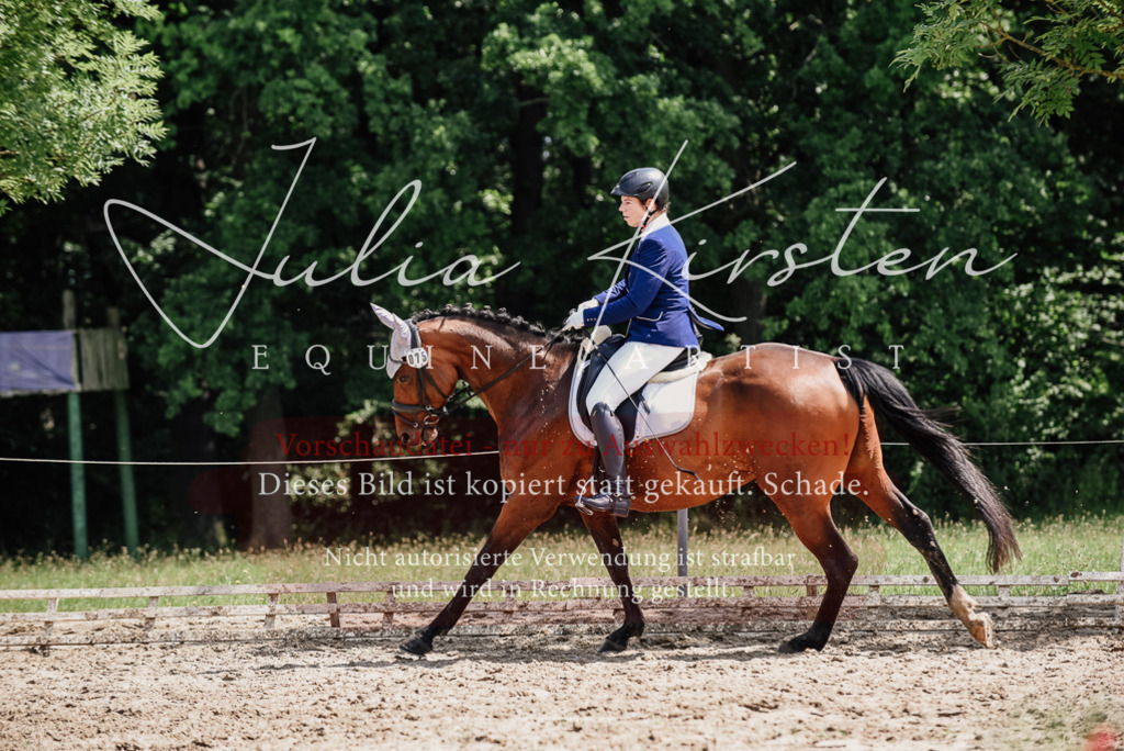 DSC_1237 | Pferde- und Turnierfotografie in Westsachsen. Pferdeportraits, Auftragszeichnungen und intuitive Kunst.