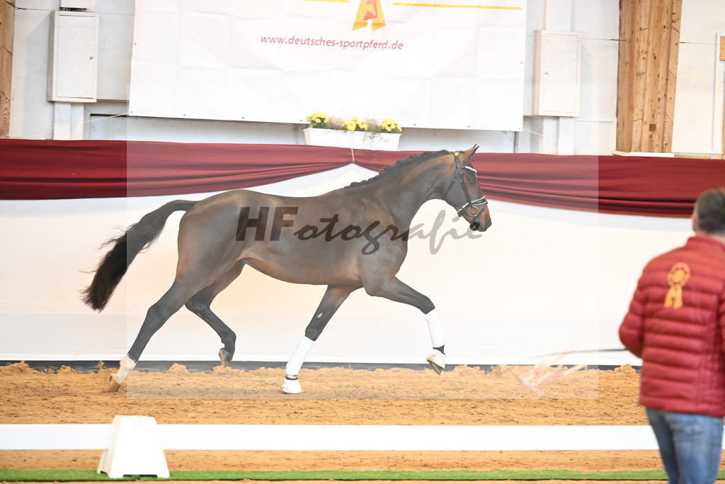 Kat-Nr. 61 v. Goldberg_Reglauer_66222014 | hf-fotografie - Realisiert mit Pictrs.com