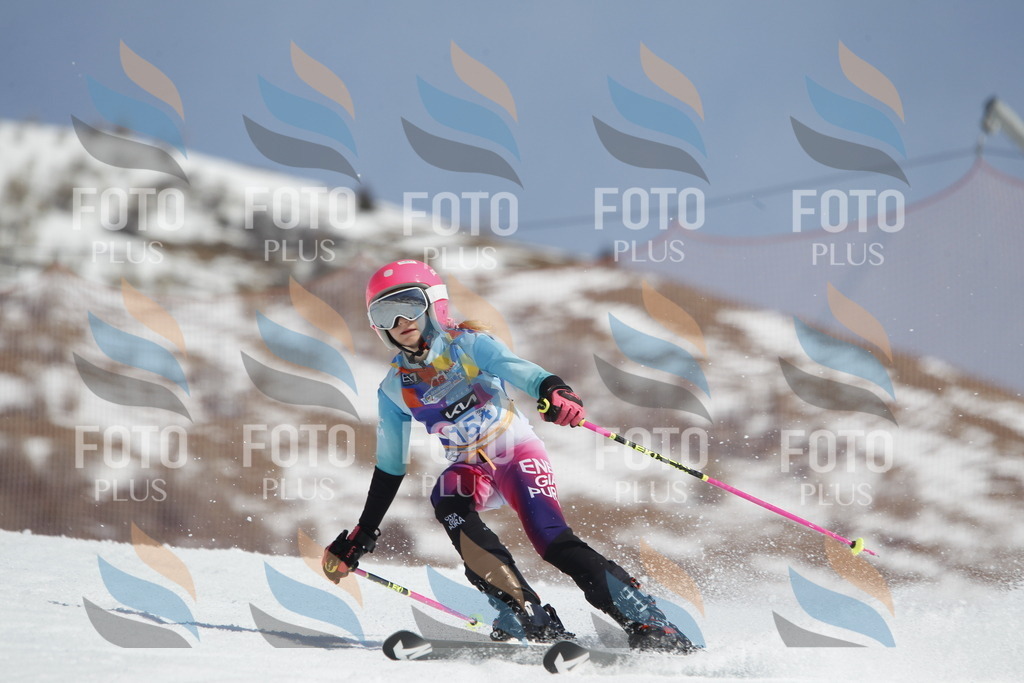 _U3G1297 | holidayphoto